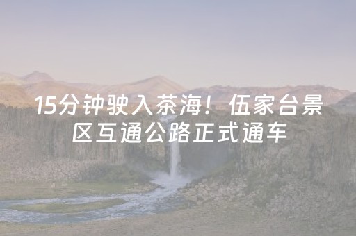 15分钟驶入茶海！伍家台景区互通公路正式通车