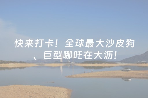 快来打卡！全球最大沙皮狗、巨型哪吒在大沥！