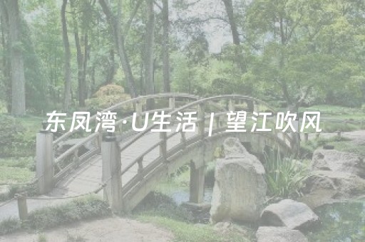 东凤湾·U生活｜望江吹风，发呆看白鹭！
