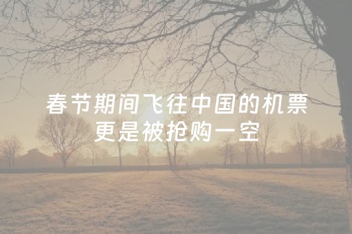 春节期间飞往中国的机票更是被抢购一空，一票难求。