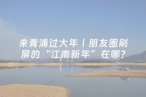 来青浦过大年丨朋友圈刷屏的“江南新年”在哪？