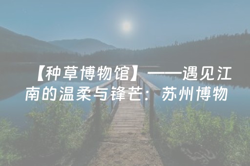 【种草博物馆】——遇见江南的温柔与锋芒：苏州博物馆