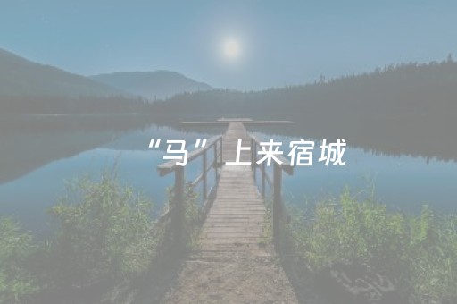 “马”上来宿城，福利加码
