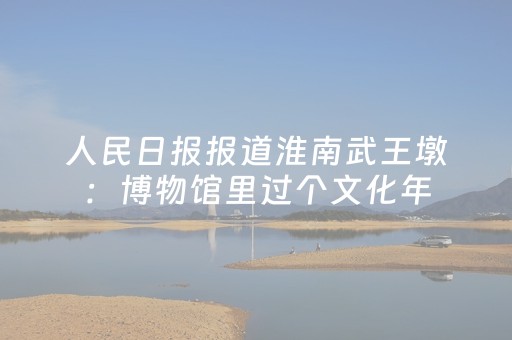 人民日报报道淮南武王墩：博物馆里过个文化年