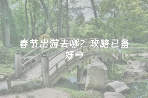 春节出游去哪？攻略已备好→