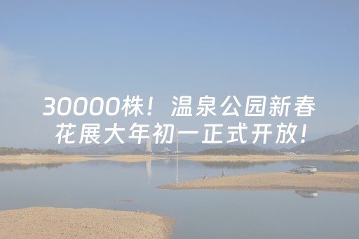 30000株！温泉公园新春花展大年初一正式开放！