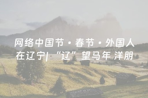 网络中国节•春节•外国人在辽宁| “辽”望马年 洋朋友说心愿