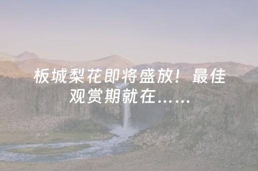板城梨花即将盛放！最佳观赏期就在……