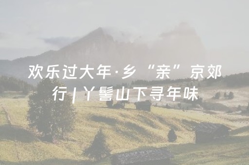 欢乐过大年·乡“亲”京郊行 | 丫髻山下寻年味，刘家店里过福年