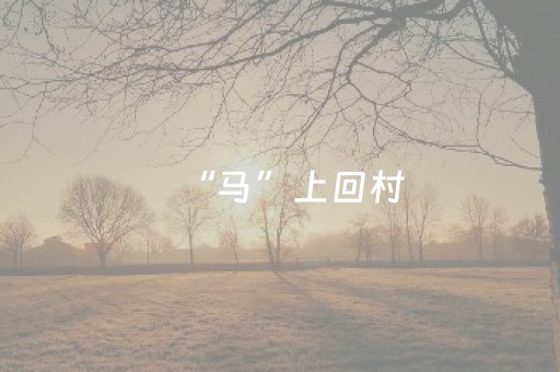 “马”上回村，过个年！