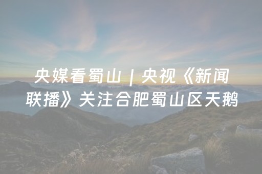 央媒看蜀山｜央视《新闻联播》关注合肥蜀山区天鹅湖灯光秀流光溢彩贺新春