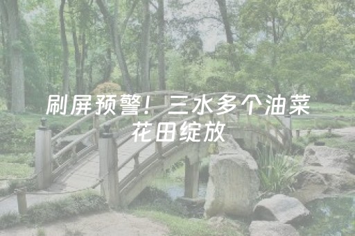 刷屏预警！三水多个油菜花田绽放，金色浪漫已到位丨请到三水过大年