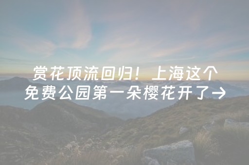 赏花顶流回归！上海这个免费公园第一朵樱花开了→