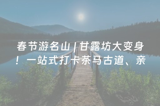 春节游名山 | 甘露坊大变身！一站式打卡茶马古道、亲子乐园、网红地标