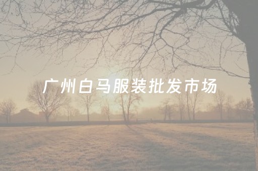 广州白马服装批发市场（广州白马服装批发市场可以零售吗）
