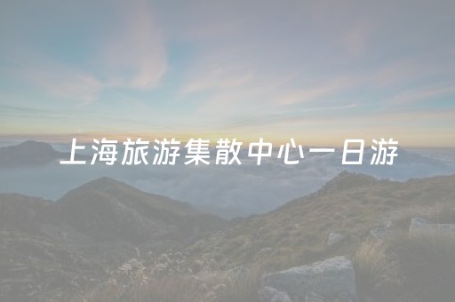 上海旅游集散中心一日游（上海旅游集散中心一日游周庄镇票价多少?）