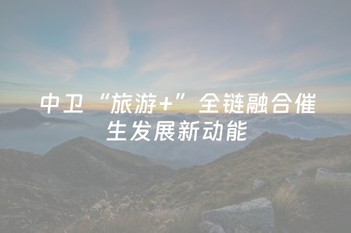 中卫“旅游+”全链融合催生发展新动能