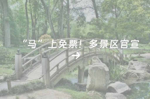 “马”上免票！多景区官宣→