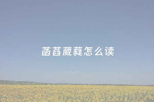菡萏葳蕤怎么读（菡萏葳蕤怎么读偈越）