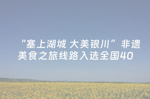 “塞上湖城 大美银川”非遗美食之旅线路入选全国40条特色线路