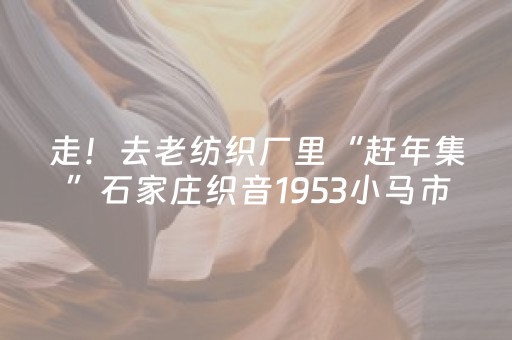 走！去老纺织厂里“赶年集”石家庄织音1953小马市集热闹开市