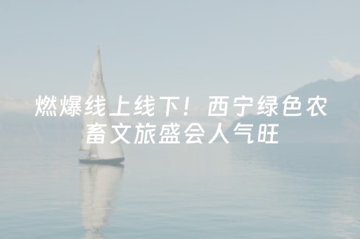 燃爆线上线下！西宁绿色农畜文旅盛会人气旺