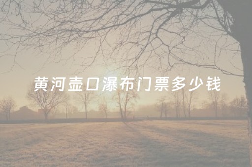 黄河壶口瀑布门票多少钱（黄河壶口瀑布最佳观赏点）
