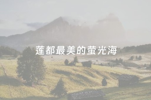 莲都最美的萤光海，即将点亮！内有福利→