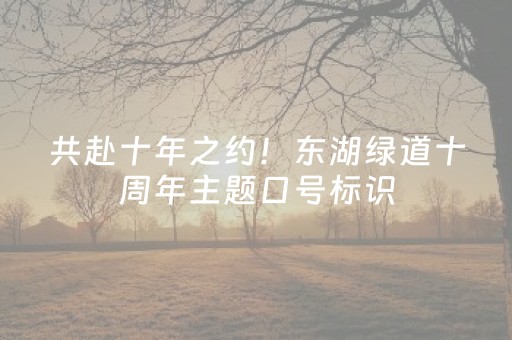 共赴十年之约！东湖绿道十周年主题口号标识，等你投出关键一票！