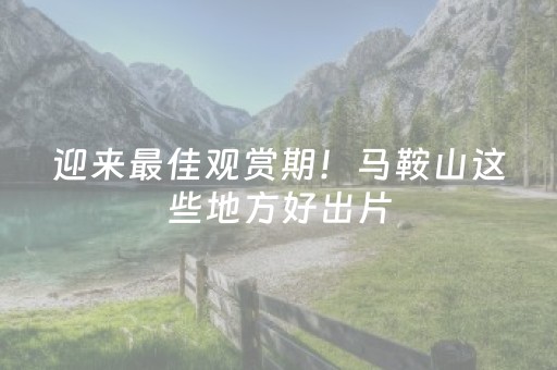 迎来最佳观赏期！马鞍山这些地方好出片