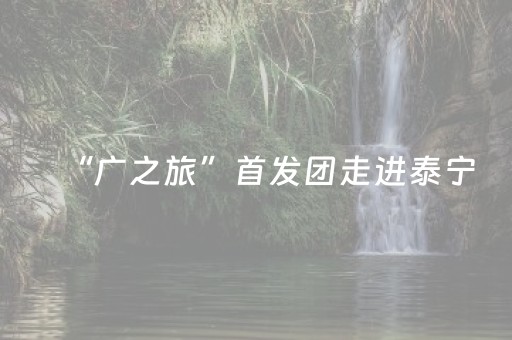 “广之旅”首发团走进泰宁，跟随春日脚步领略泰宁“春之韵”
