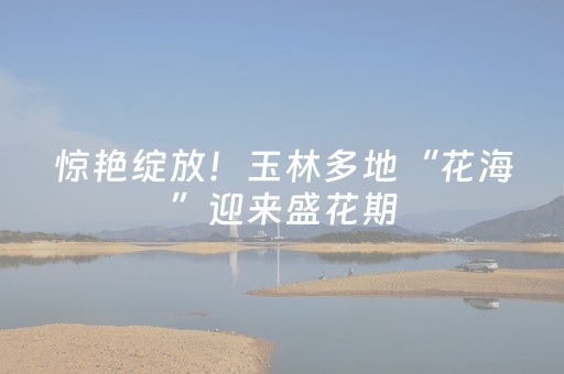 惊艳绽放！玉林多地“花海”迎来盛花期，快来解锁“花”式大片