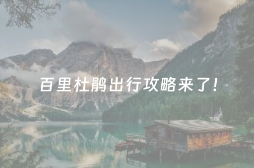 百里杜鹃出行攻略来了！