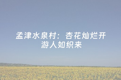 孟津水泉村：杏花灿烂开 游人如织来