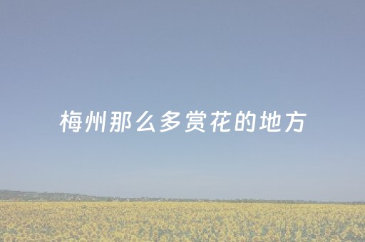 梅州那么多赏花的地方，最后一个在丰顺：樱花、木棉花、柚花、桃花…