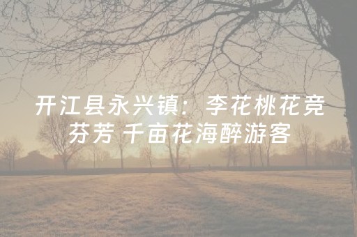 开江县永兴镇：李花桃花竞芬芳 千亩花海醉游客