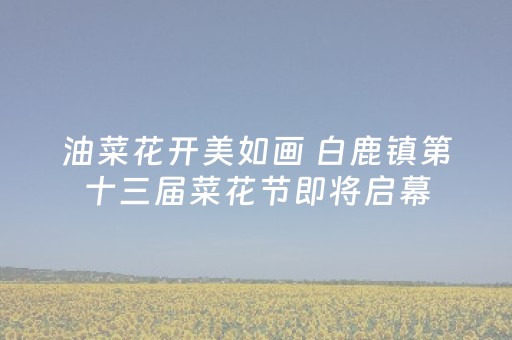 油菜花开美如画 白鹿镇第十三届菜花节即将启幕