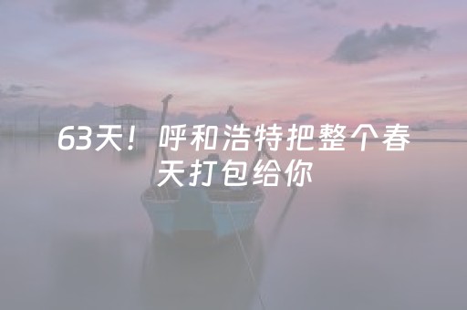 63天！呼和浩特把整个春天打包给你，风筝、花海、文博……这么多好玩的等你来签收！