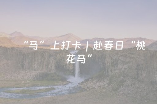 “马”上打卡｜赴春日“桃花马”，享旅游+住宿专属福利！