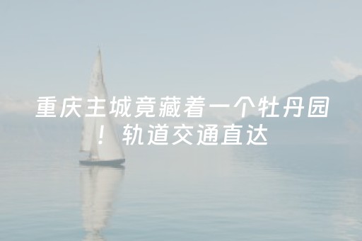 重庆主城竟藏着一个牡丹园！轨道交通直达，风景比洛阳还野