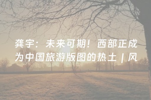 龚宇：未来可期！西部正成为中国旅游版图的热土｜风起西部⑨