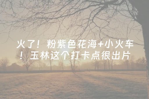 火了！粉紫色花海+小火车！玉林这个打卡点很出片