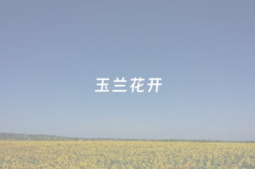 玉兰花开，邀您来赏~
