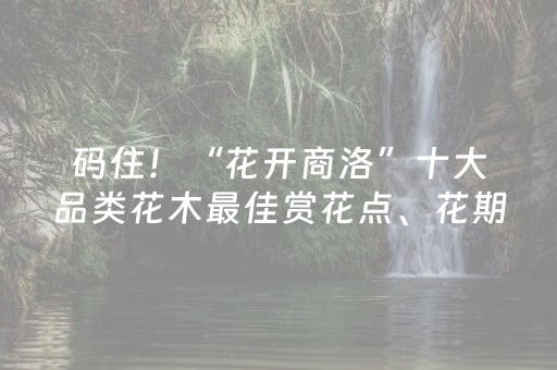 码住！“花开商洛”十大品类花木最佳赏花点、花期→
