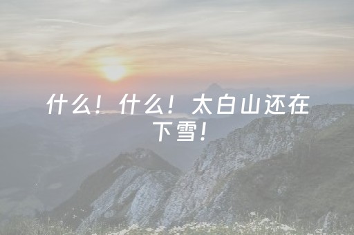 什么！什么！太白山还在下雪！