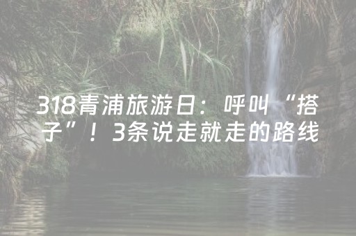 318青浦旅游日：呼叫“搭子”！3条说走就走的路线来啦～