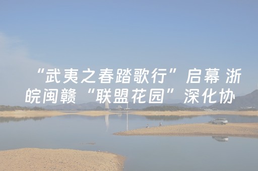 “武夷之春踏歌行”启幕 浙皖闽赣“联盟花园”深化协作