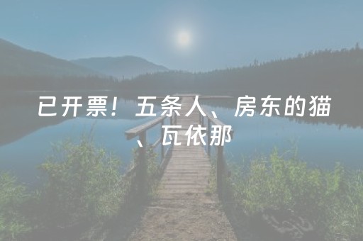 已开票！五条人、房东的猫、瓦依那，在南丹音乐节等你