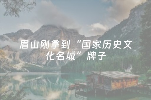 眉山刚拿到“国家历史文化名城”牌子，老街还在拆与保之间拉扯