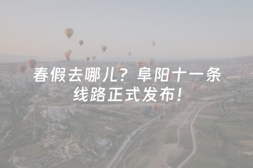 春假去哪儿？阜阳十一条线路正式发布！